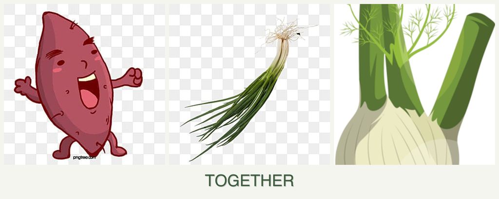 Can you plant sweet potatoes, chives and fennel together?