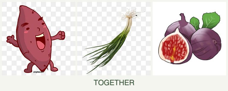 Can you plant sweet potatoes, chives and figs together?
