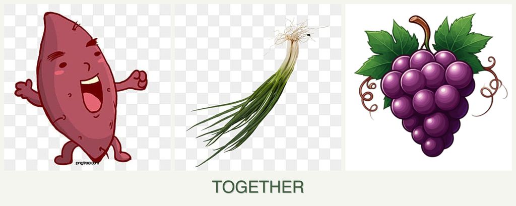 Can you plant sweet potatoes, chives and grapes together?