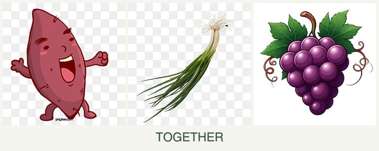 Can you plant sweet potatoes, chives and grapes together?