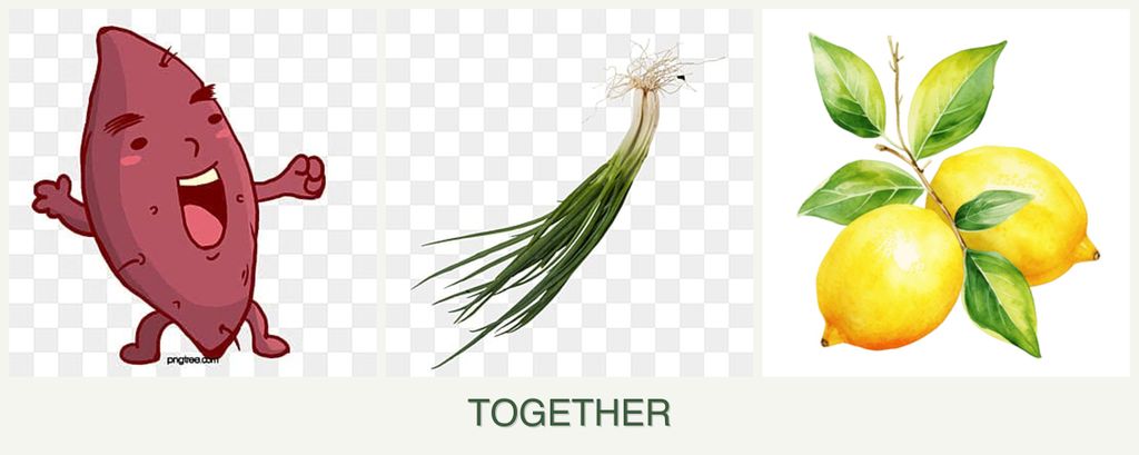 Can you plant sweet potatoes, chives and lemons together?