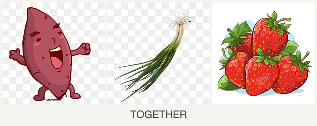 Can you plant sweet potatoes, chives and strawberries together?