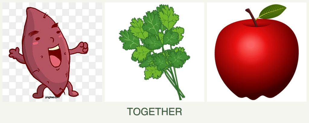Can you plant sweet potatoes, cilantro and apples together?