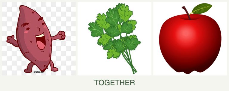 Can you plant sweet potatoes, cilantro and apples together?