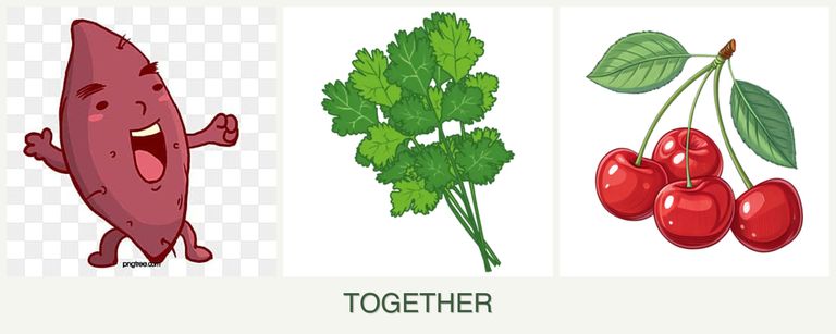 Can you plant sweet potatoes, cilantro and cherries together?