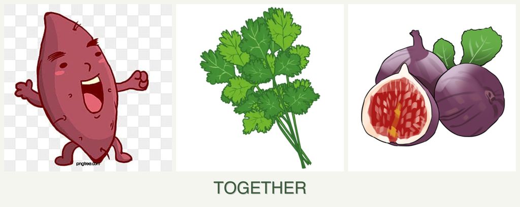 Can you plant sweet potatoes, cilantro and figs together?