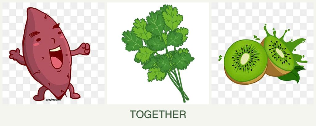 Can you plant sweet potatoes, cilantro and kiwi together?