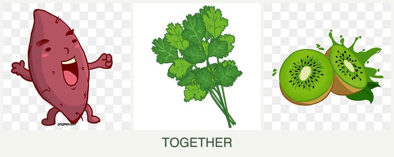 Can you plant sweet potatoes, cilantro and kiwi together?