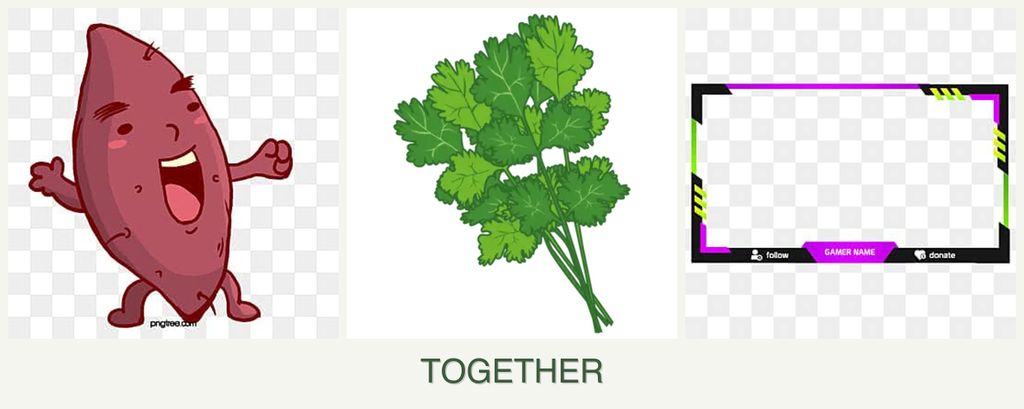 Can you plant sweet potatoes, cilantro and limes together?