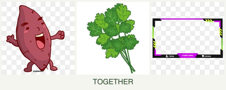 Can you plant sweet potatoes, cilantro and limes together?