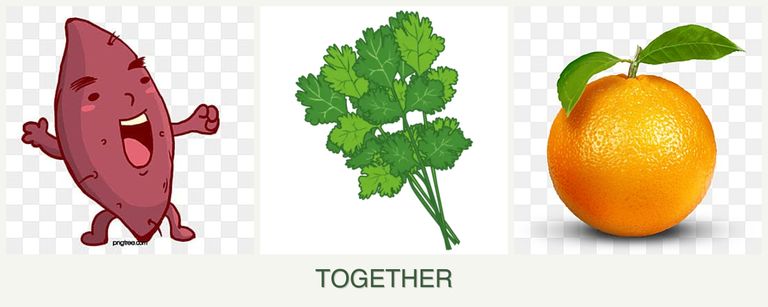 Can you plant sweet potatoes, cilantro and oranges together?