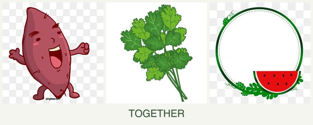 Can you plant sweet potatoes, cilantro and watermelons together?