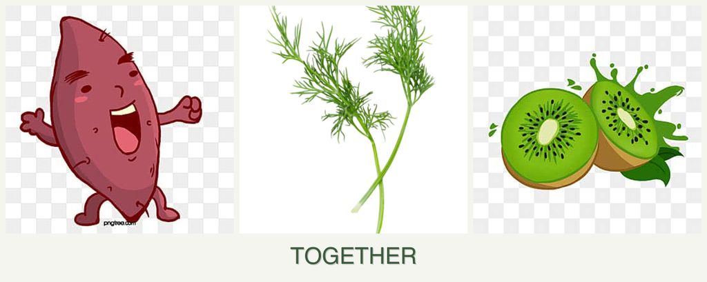 Can you plant sweet potatoes, dill and kiwi together?
