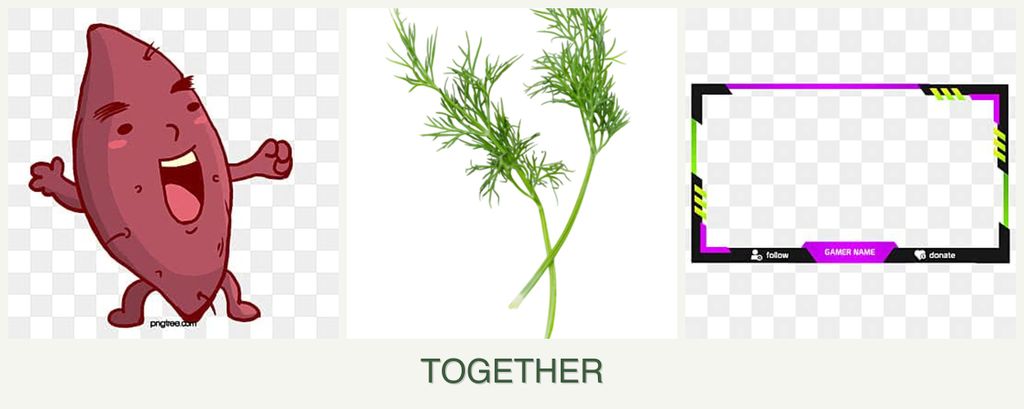 Can you plant sweet potatoes, dill and limes together?