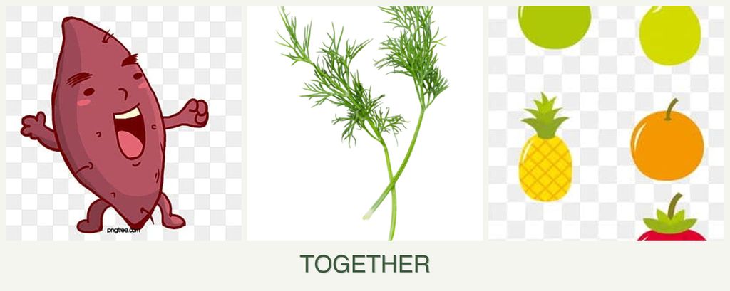 Can you plant sweet potatoes, dill and pears together?