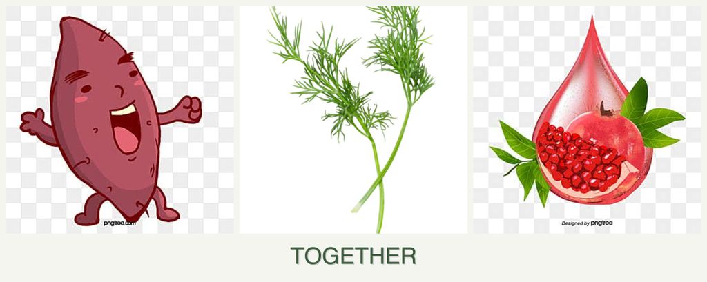 Can you plant sweet potatoes, dill and pomegranates together?