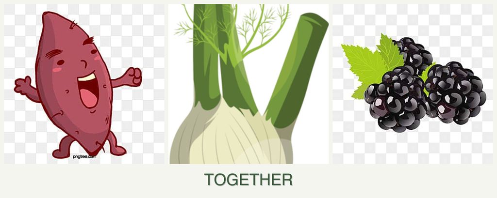 Can you plant sweet potatoes, fennel and blackberries together?