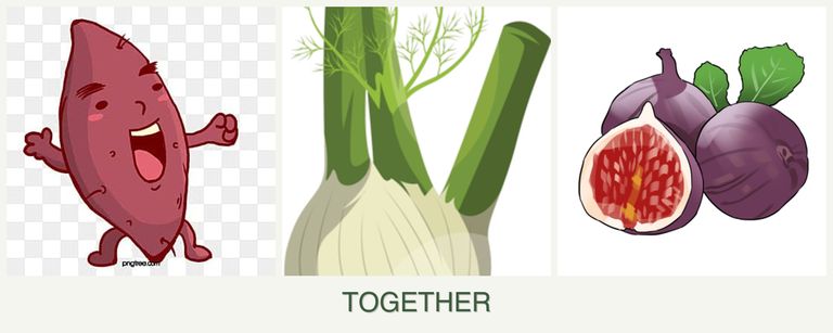 Can you plant sweet potatoes, fennel and figs together?