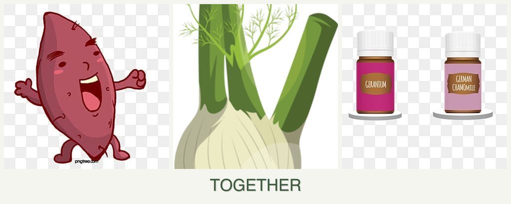 Can you plant sweet potatoes, fennel and geraniums together?