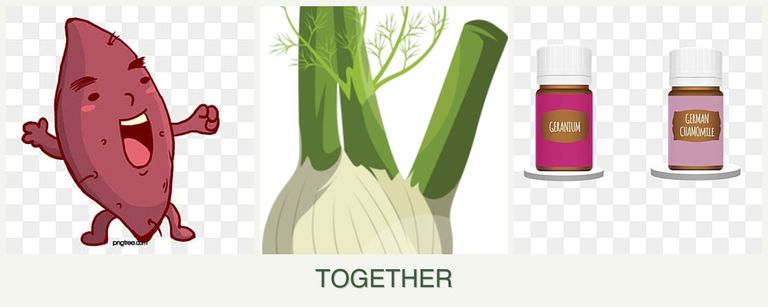 Can you plant sweet potatoes, fennel and geraniums together?