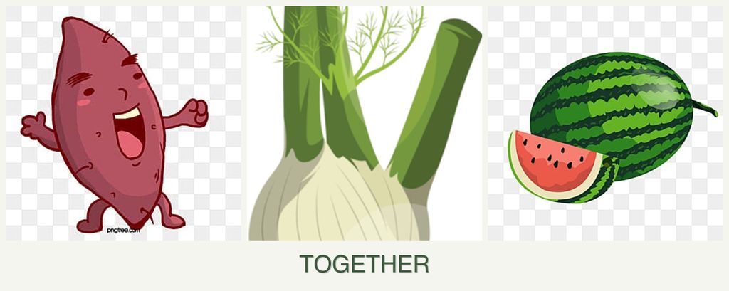Can you plant sweet potatoes, fennel and melons together?