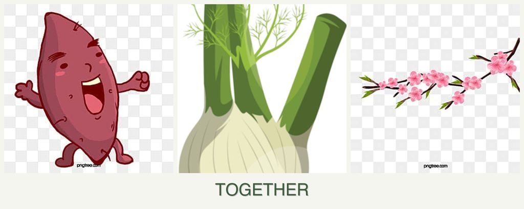 Can you plant sweet potatoes, fennel and peaches together?