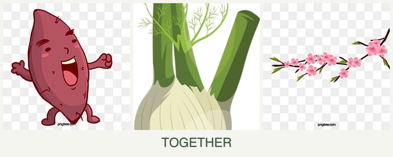 Can you plant sweet potatoes, fennel and peaches together?