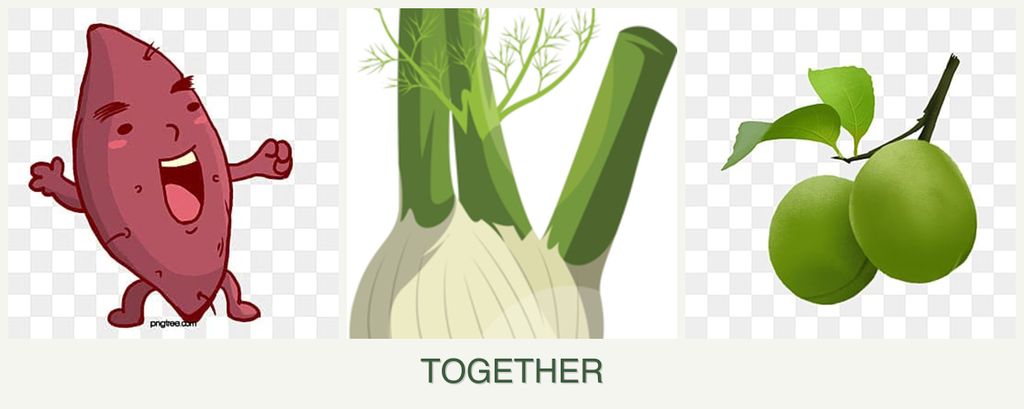 Can you plant sweet potatoes, fennel and plums together?