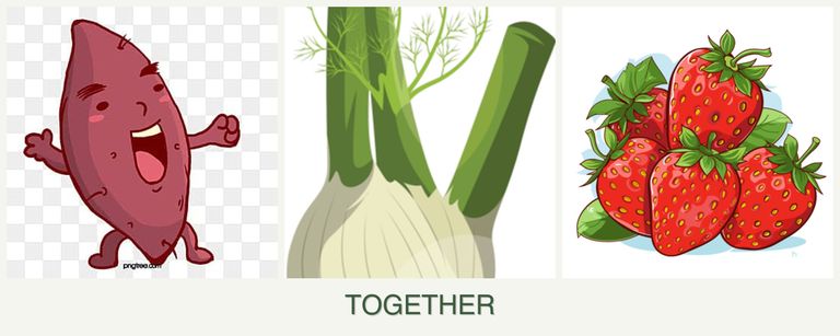 Can you plant sweet potatoes, fennel and strawberries together?