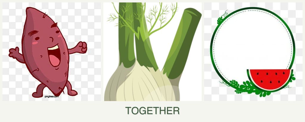 Can you plant sweet potatoes, fennel and watermelons together?
