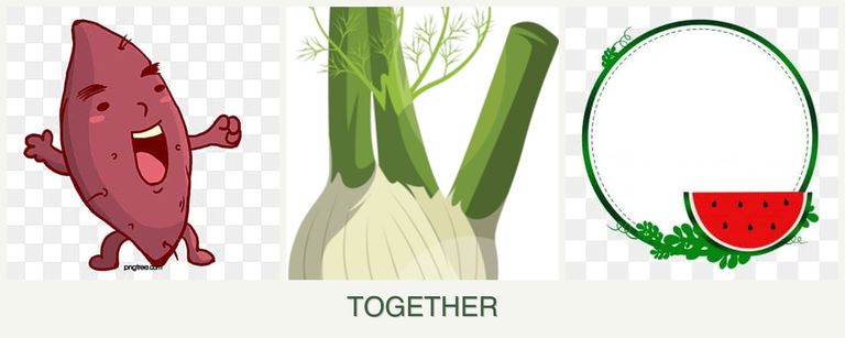 Can you plant sweet potatoes, fennel and watermelons together?