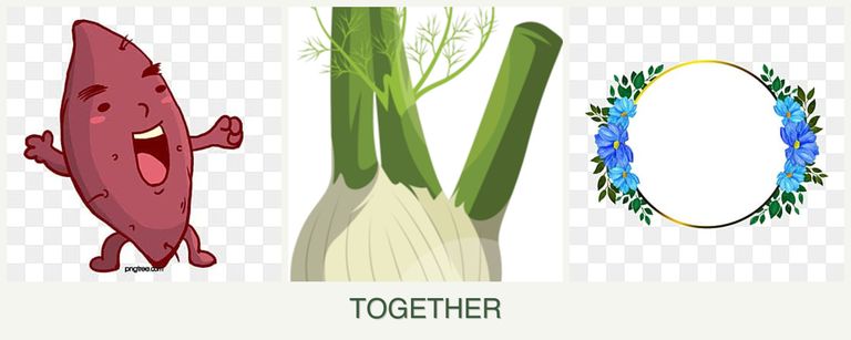 Can you plant sweet potatoes, fennel and zinnias together?