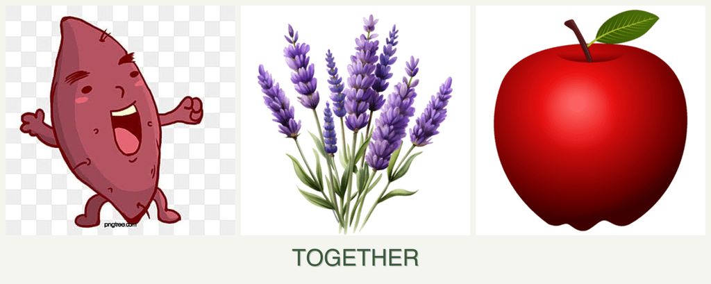 Can you plant sweet potatoes, lavender and apples together?