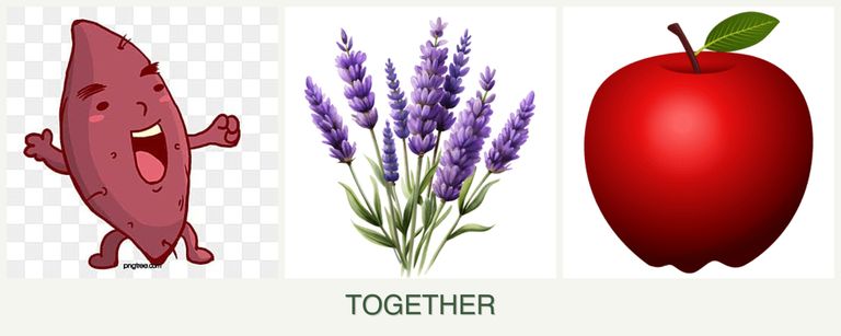 Can you plant sweet potatoes, lavender and apples together?