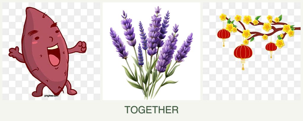 Can you plant sweet potatoes, lavender and apricots together?