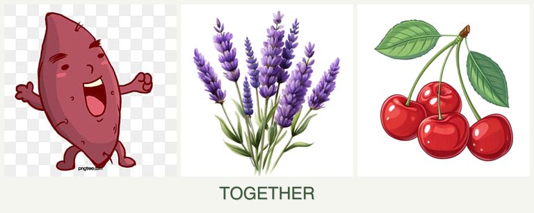 Can you plant sweet potatoes, lavender and cherries together?