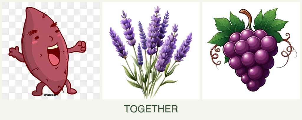 Can you plant sweet potatoes, lavender and grapes together?