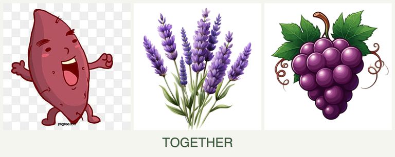 Can you plant sweet potatoes, lavender and grapes together?
