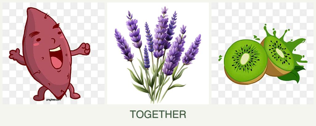 Can you plant sweet potatoes, lavender and kiwi together?