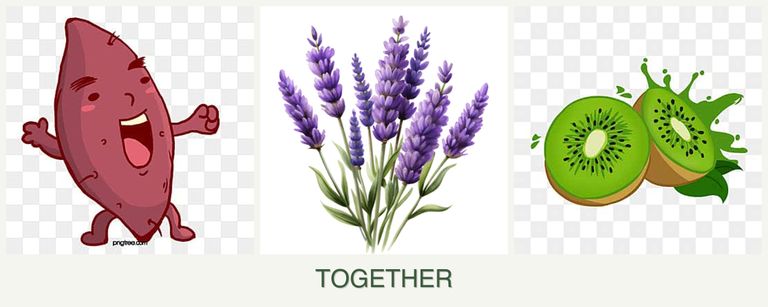 Can you plant sweet potatoes, lavender and kiwi together?