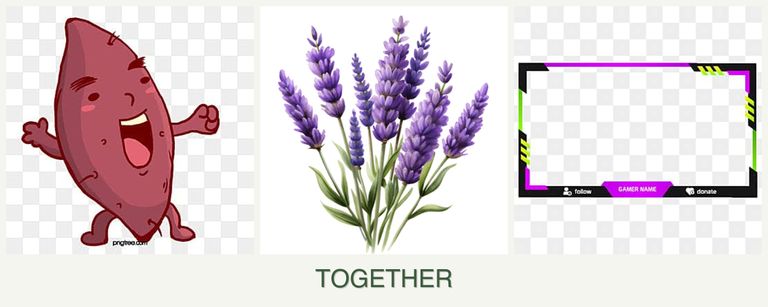 Can you plant sweet potatoes, lavender and limes together?