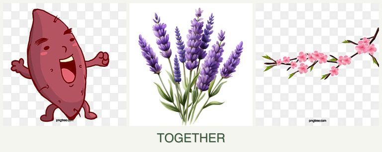 Can you plant sweet potatoes, lavender and peaches together?