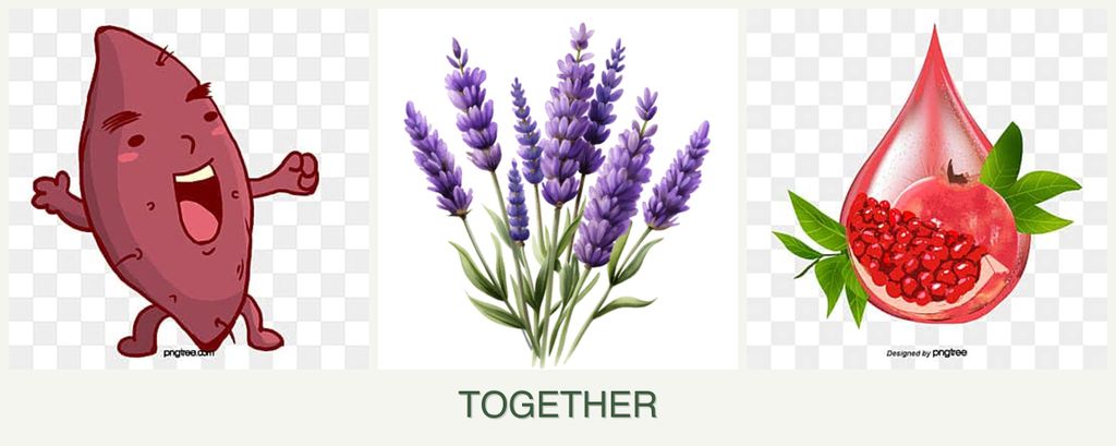Can you plant sweet potatoes, lavender and pomegranates together?