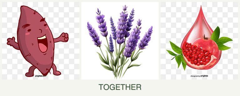 Can you plant sweet potatoes, lavender and pomegranates together?