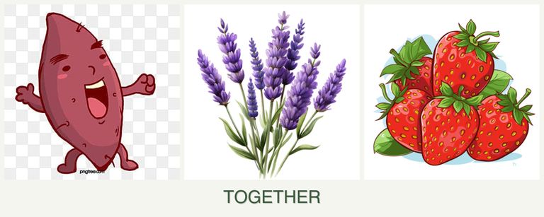 Can you plant sweet potatoes, lavender and strawberries together?