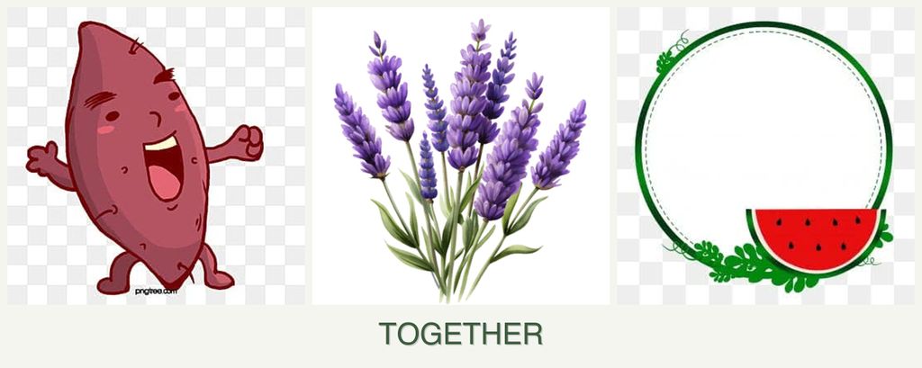 Can you plant sweet potatoes, lavender and watermelons together?