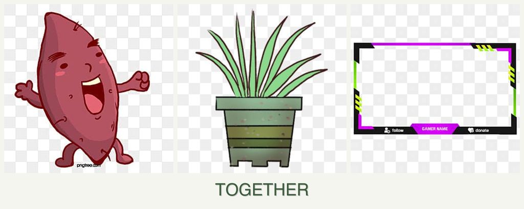 Can you plant sweet potatoes, lemongrass and limes together?