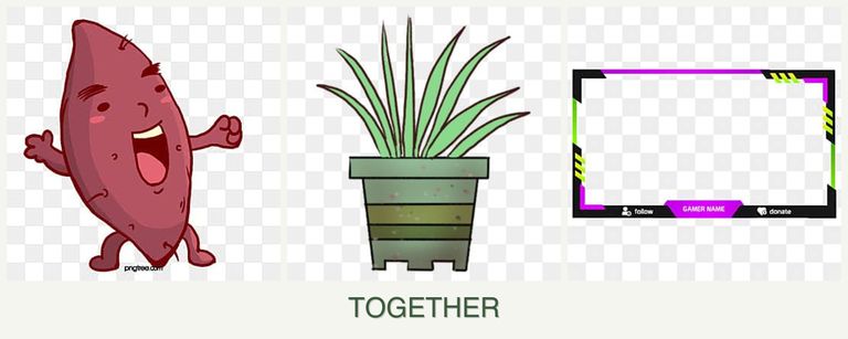 Can you plant sweet potatoes, lemongrass and limes together?
