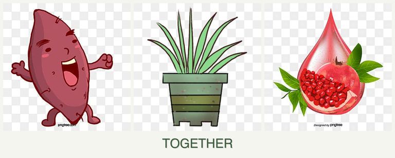 Can you plant sweet potatoes, lemongrass and pomegranates together?