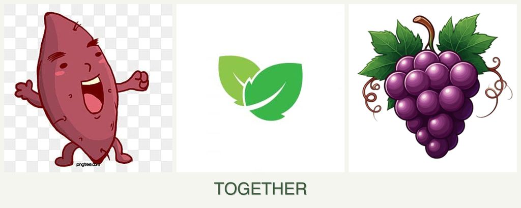 Can you plant sweet potatoes, mint and grapes together?